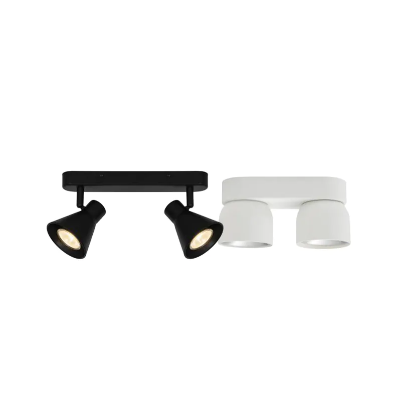 Plafondlamp 2 spots
