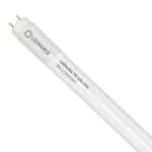 Ledvance LED Buis T8 Value (UN) High Output 8W 900lm - 865 Daglicht | 60cm - Vervangt 18W